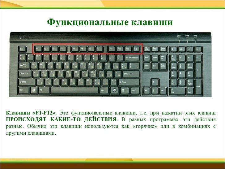 Фото декоративных бассейнов своими руками 32